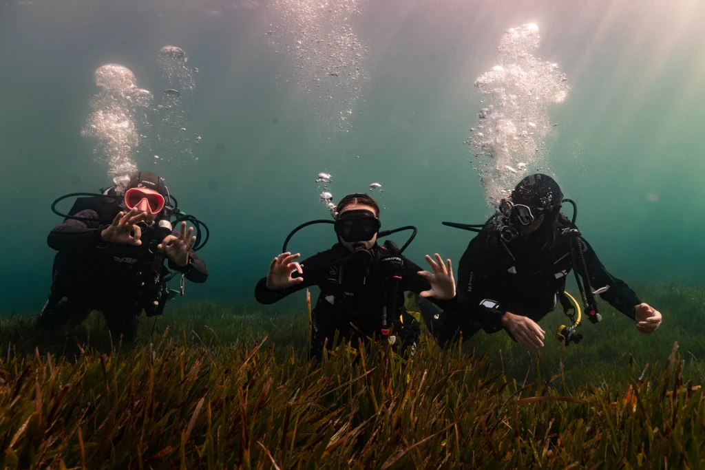 Plonger dans l&rsquo;inclusion : Une journée de découvertes et de sourires
