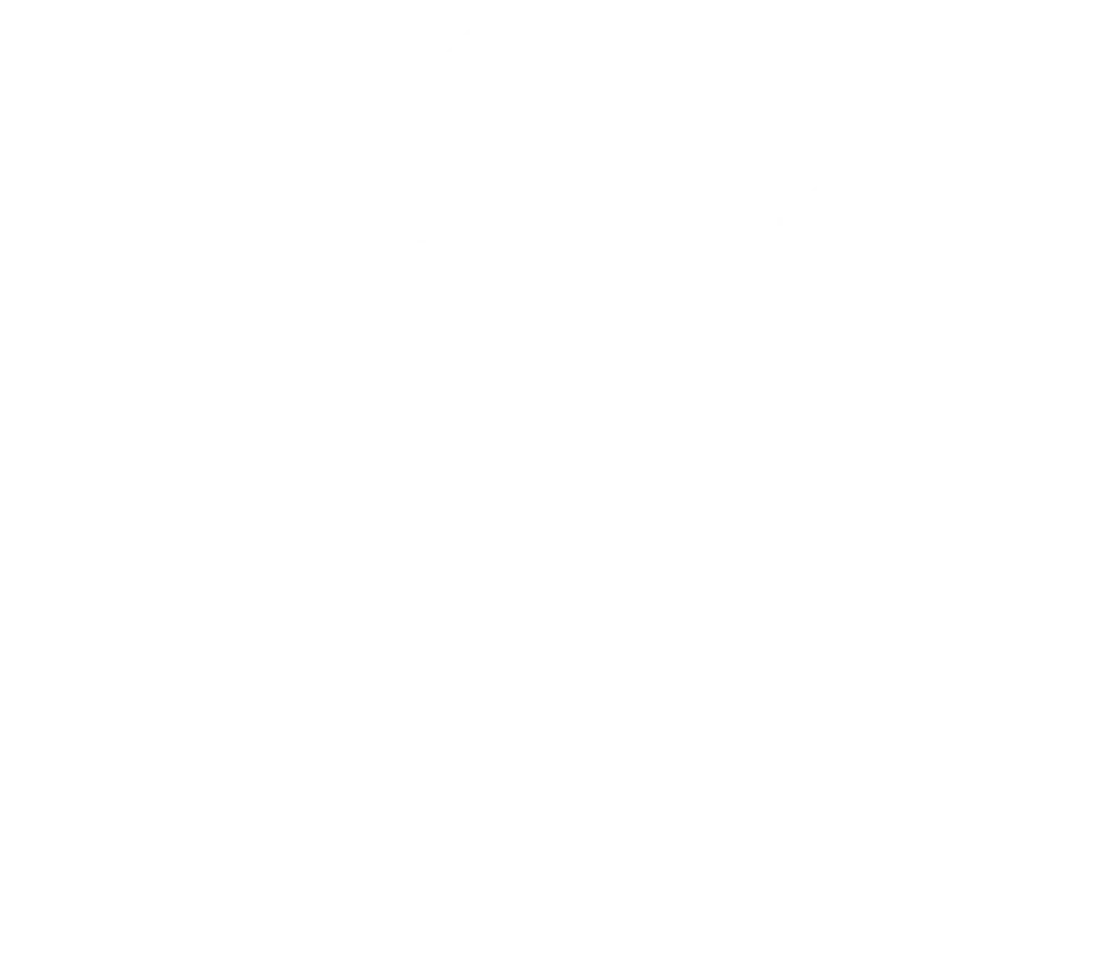 Inclusion Fondation Mission Santé