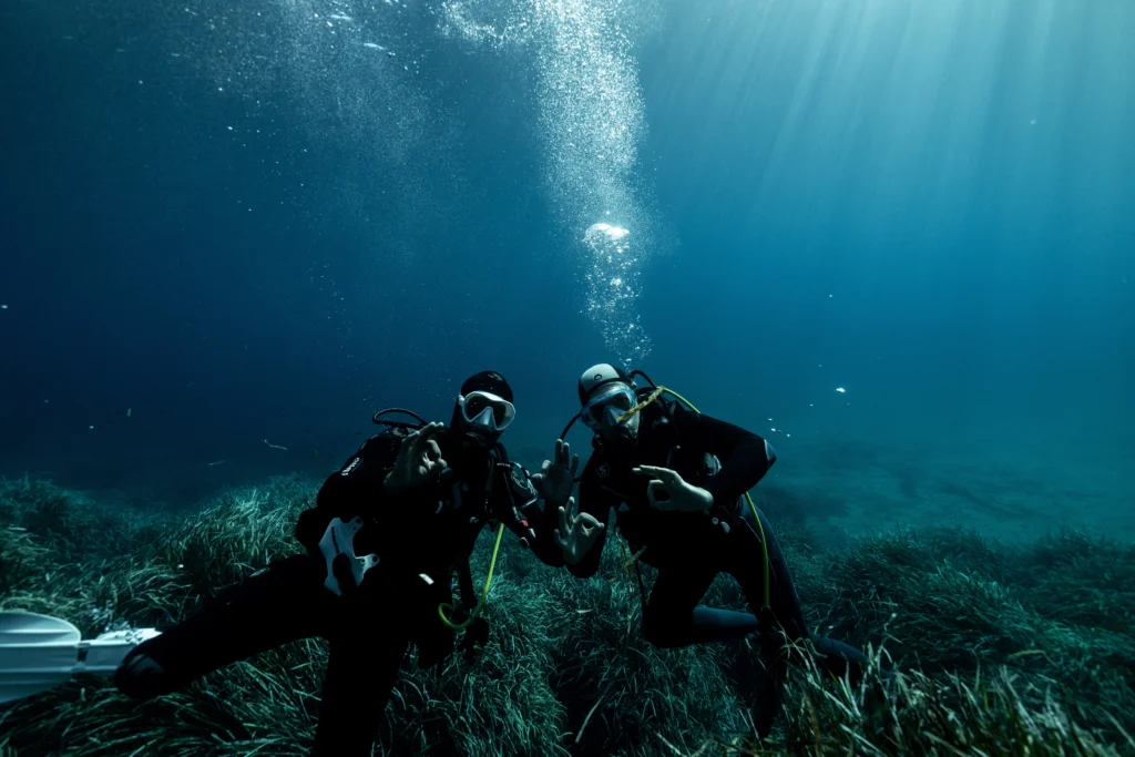 Deux plongeurs sous l'eau